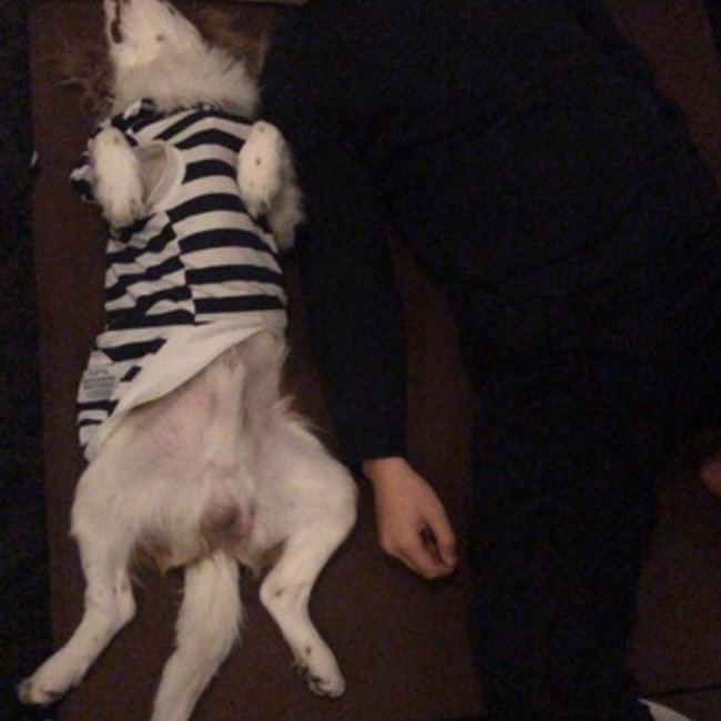 かつぶーのカバー写真