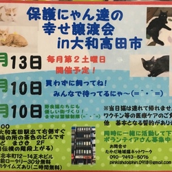 保護にゃん達の幸せ譲渡会in大和高田市