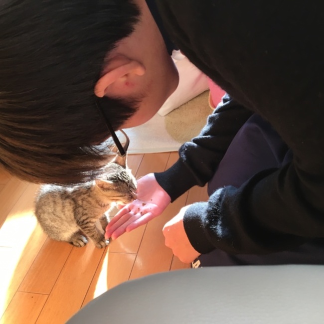 おはる♀のカバー写真