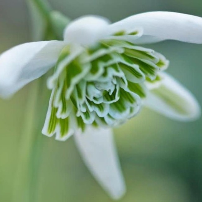 ヤミー322のカバー写真