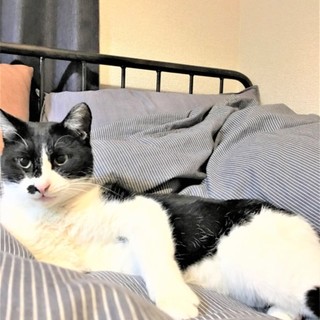 僕を撫でて～★くーちゃん★