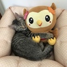 フッピーと一緒