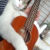 の写真