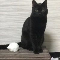 もな