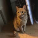 甘えん坊な男の子