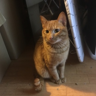 甘えん坊な男の子