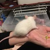 初日の記念撮影