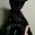 黒の男の子