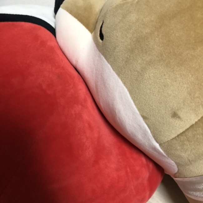 もちはむのカバー写真