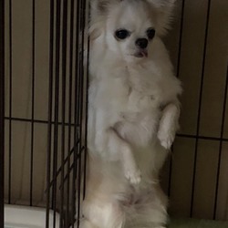 「ご挨拶が遅れてしまい大変申し訳ございません」サムネイル1