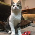 甘え上手な性格◎ボーイ