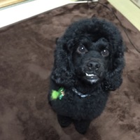 うに