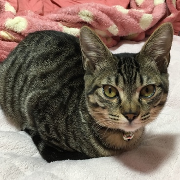 たまに良い子