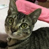 たけまにあ
