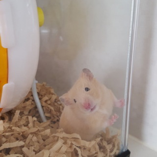 里親様決まりました！