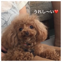 ブラン