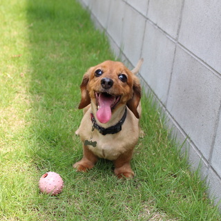 甘えん坊の女の子です