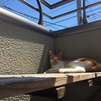 メイ