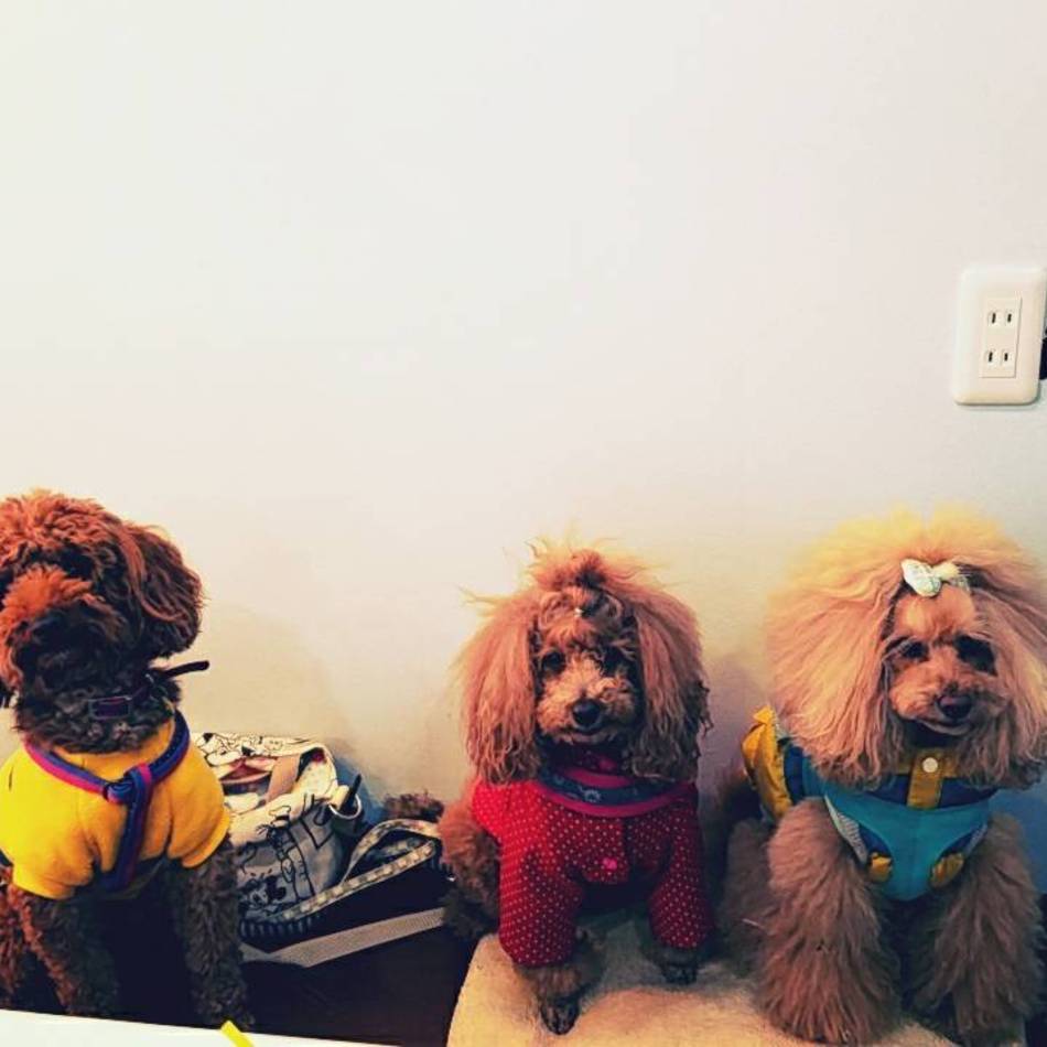 こうたぁのカバー写真