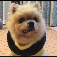 テッド