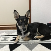 山下ゆめ