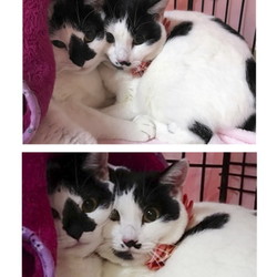 赤い糸探し、頑張ってます