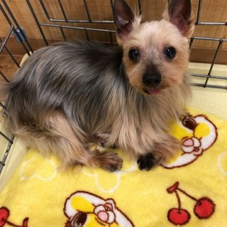 素敵な家族ができました、ありがとうございました♪