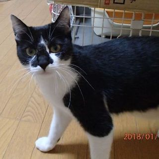 ファンタよ！よろしく。