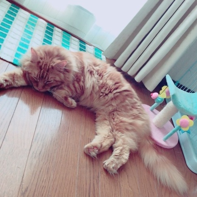おとみ0311のカバー写真