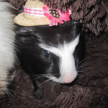 帽子でおめかし