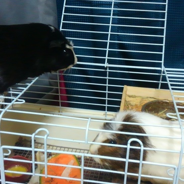 ママのおうちに訪問