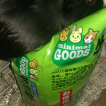 牧草もっとちょうだい