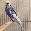 可愛がっていただける方