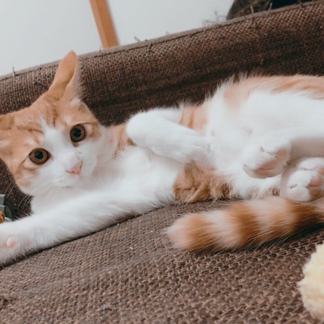 みーーーーーんのカバー写真