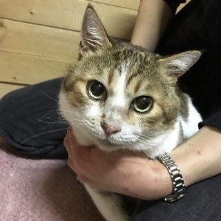 くりっとした目をした可愛い子です^ ^