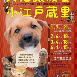 小江戸蔵里猫譲渡会