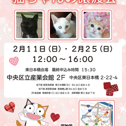 ねこざんまい譲渡会@東日本橋