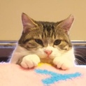 怖がりだけど甘えん坊になりそうなラブちゃん