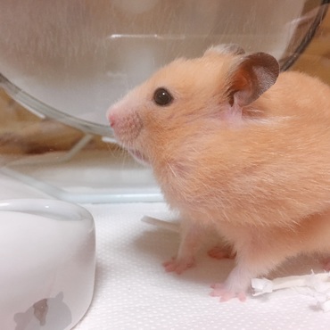 の写真