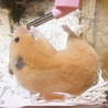の写真