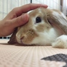 うーたん✱