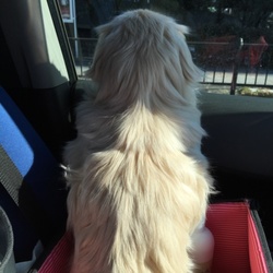 たわいも無い 日常