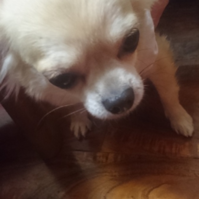 さきとのんのカバー写真