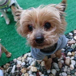 2人揃って幸せなりました～