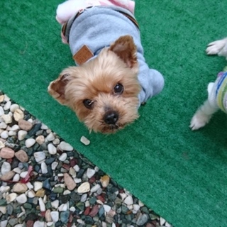 2人揃って幸せなりました～