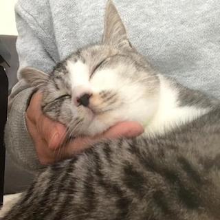 気の小さい可愛い女の子