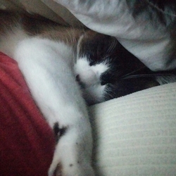 「体が凝る幸せ( ￣▽￣)」サムネイル1