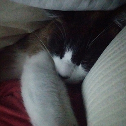 「体が凝る幸せ( ￣▽￣)」サムネイル2