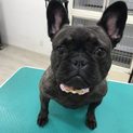 愛情もって可愛がってくれる方