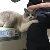 の写真
